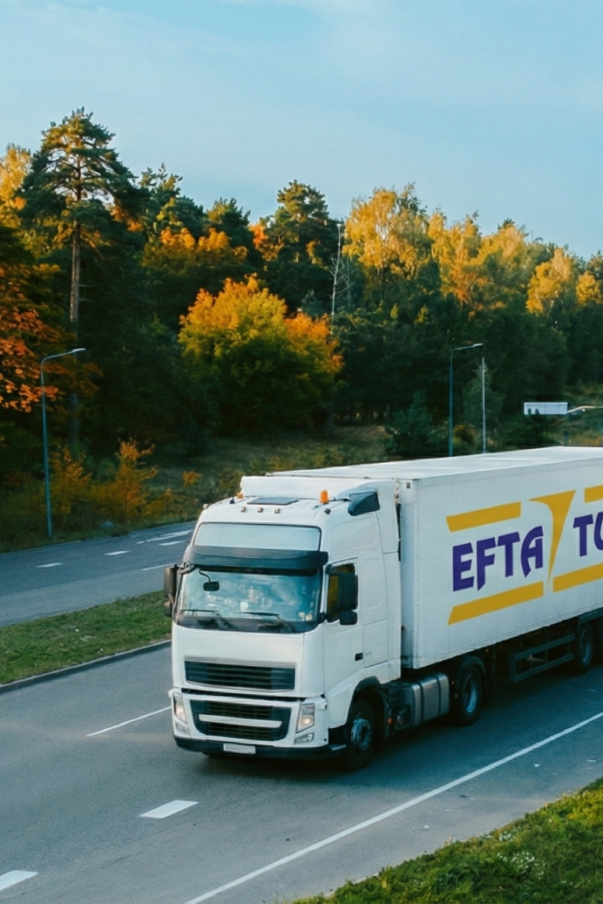 Gemini_Generated_Image_5y475s5y475s5y47